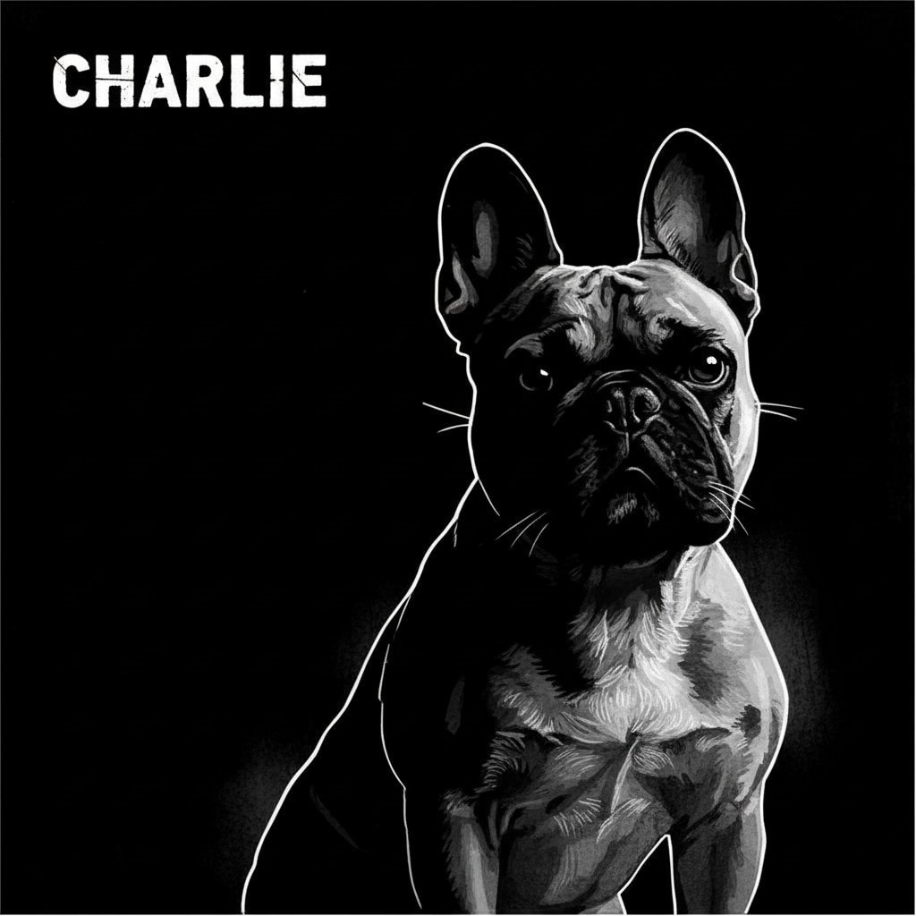 Custom Pet Portraits with Dark Backgrounds Example